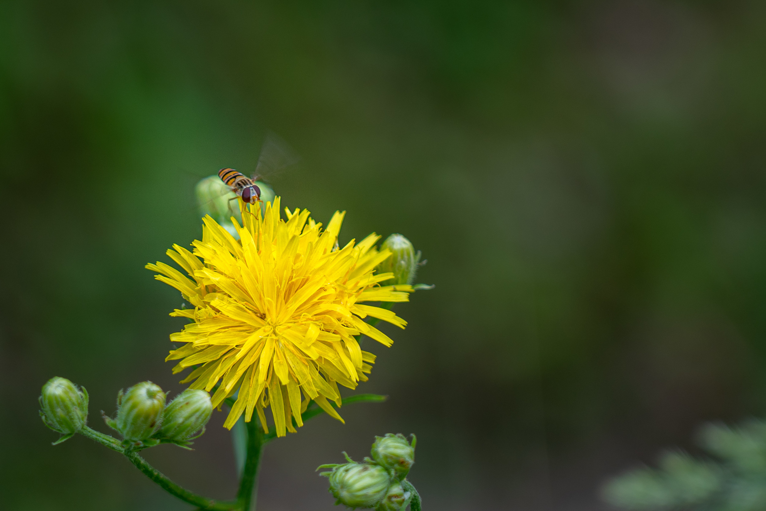 Landing